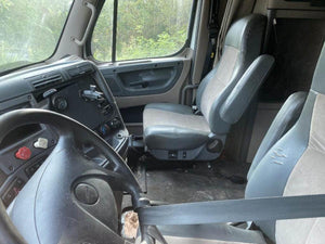 2013 FREIGHTLINER CASCADIA 125 Cab Assembly