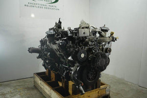 2009 INTERNATIONAL MAXXFORCE 13 Engine Assembly