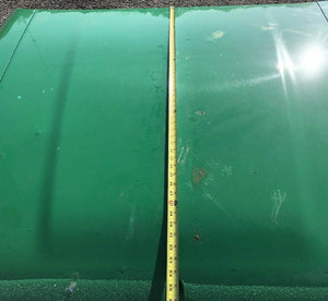 2020 PETERBILT 579 Hood