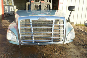 2012 FREIGHTLINER CASCADIA Hood